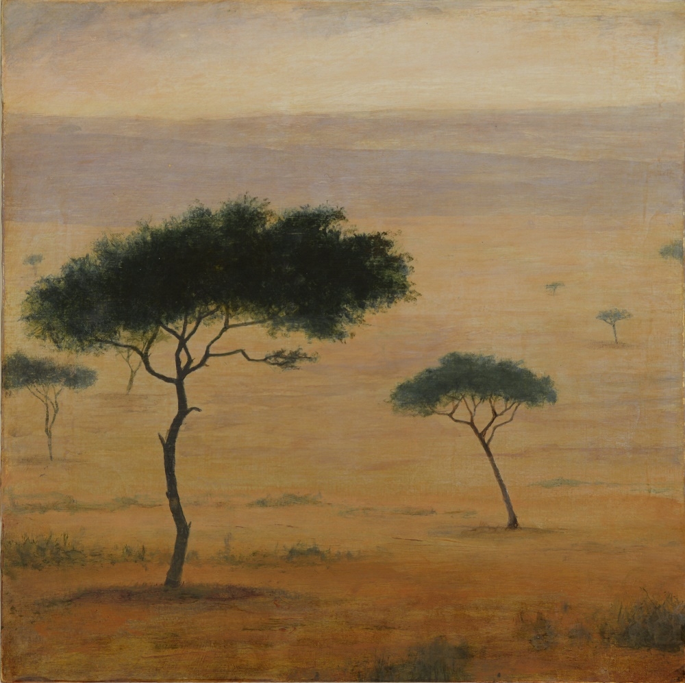 Acacia Dreaming II