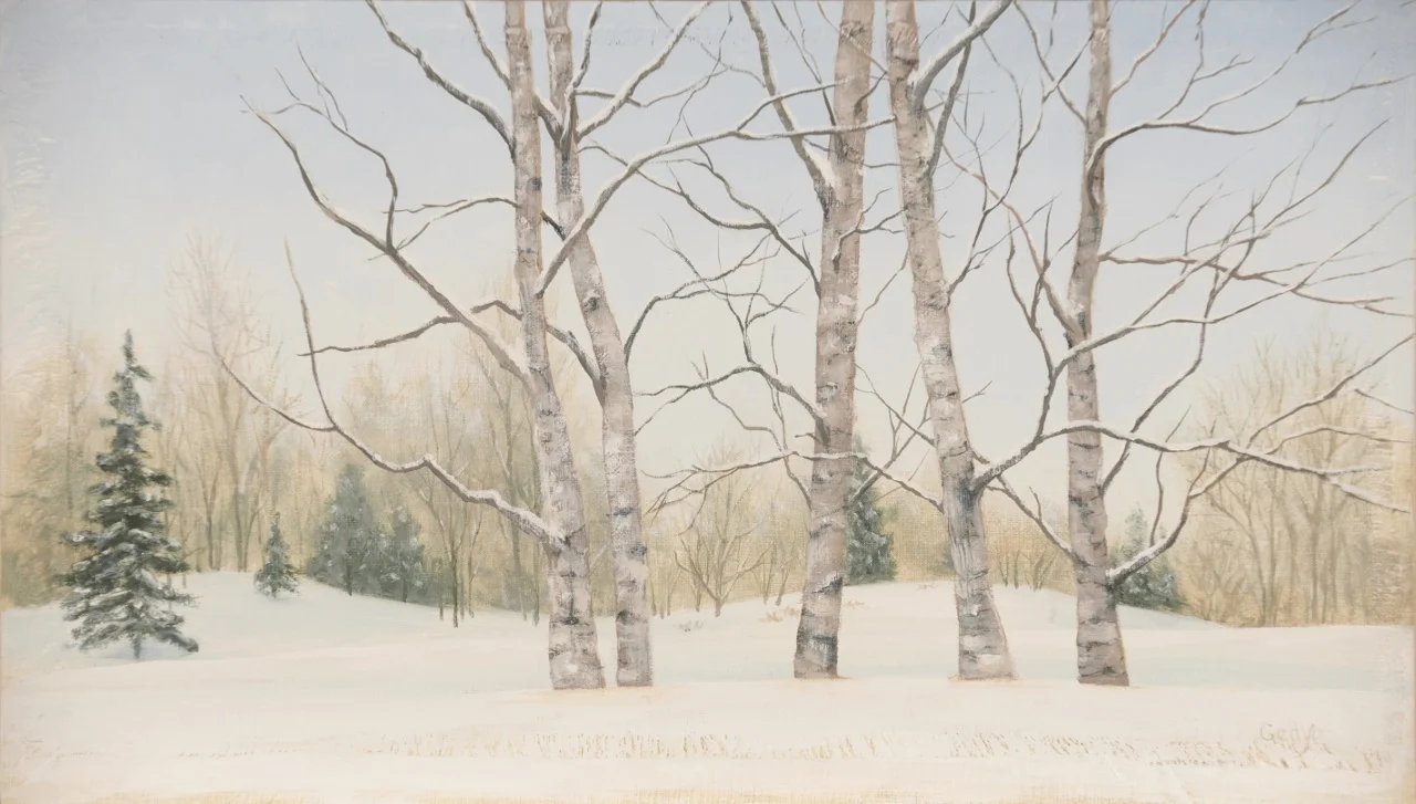 Aspens in Snow