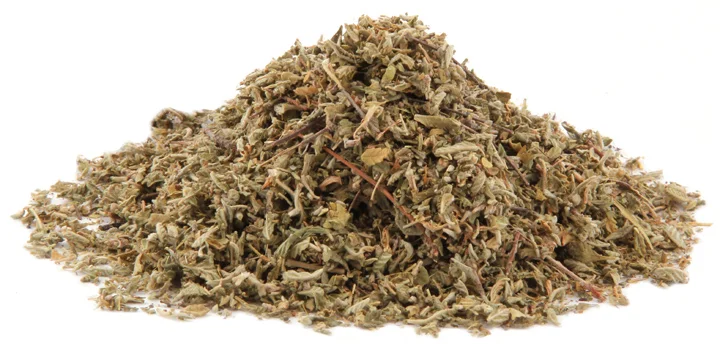 damiana.jpg