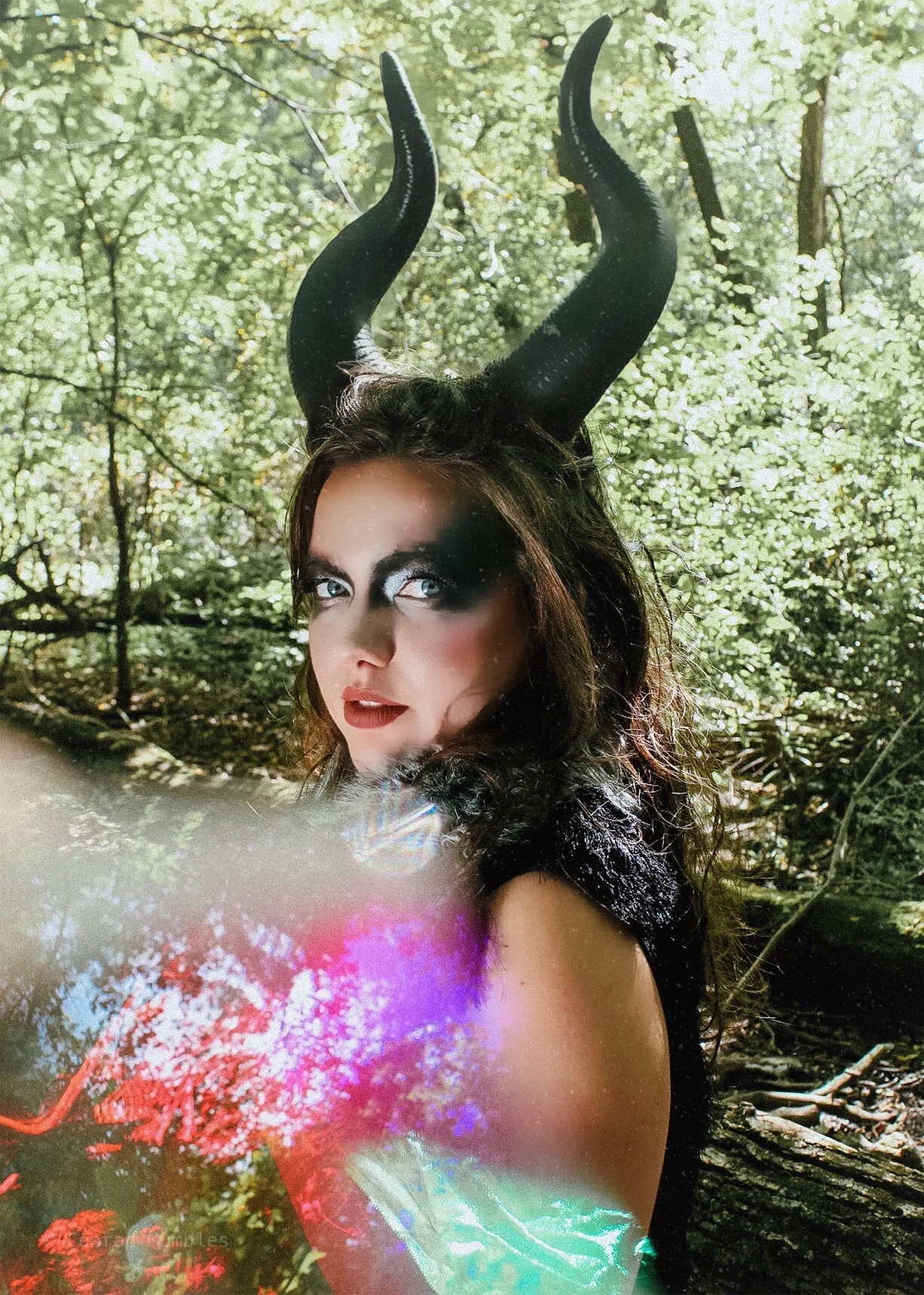 Connie Mrotek Photography