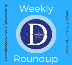Weekly Roundup (1).png