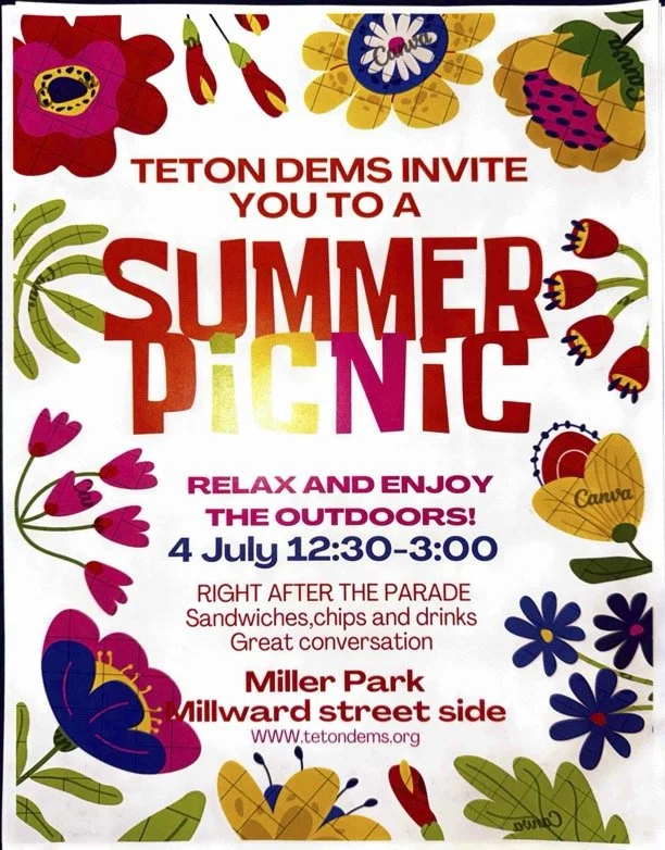 Dem's Picnic
