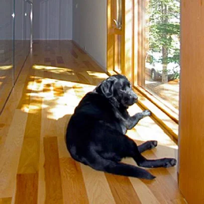 Maybe a “photo testimonial” from one of our clients says it best. The expression on this Family Member’s face might say more about living with Warmboard than words ever could.