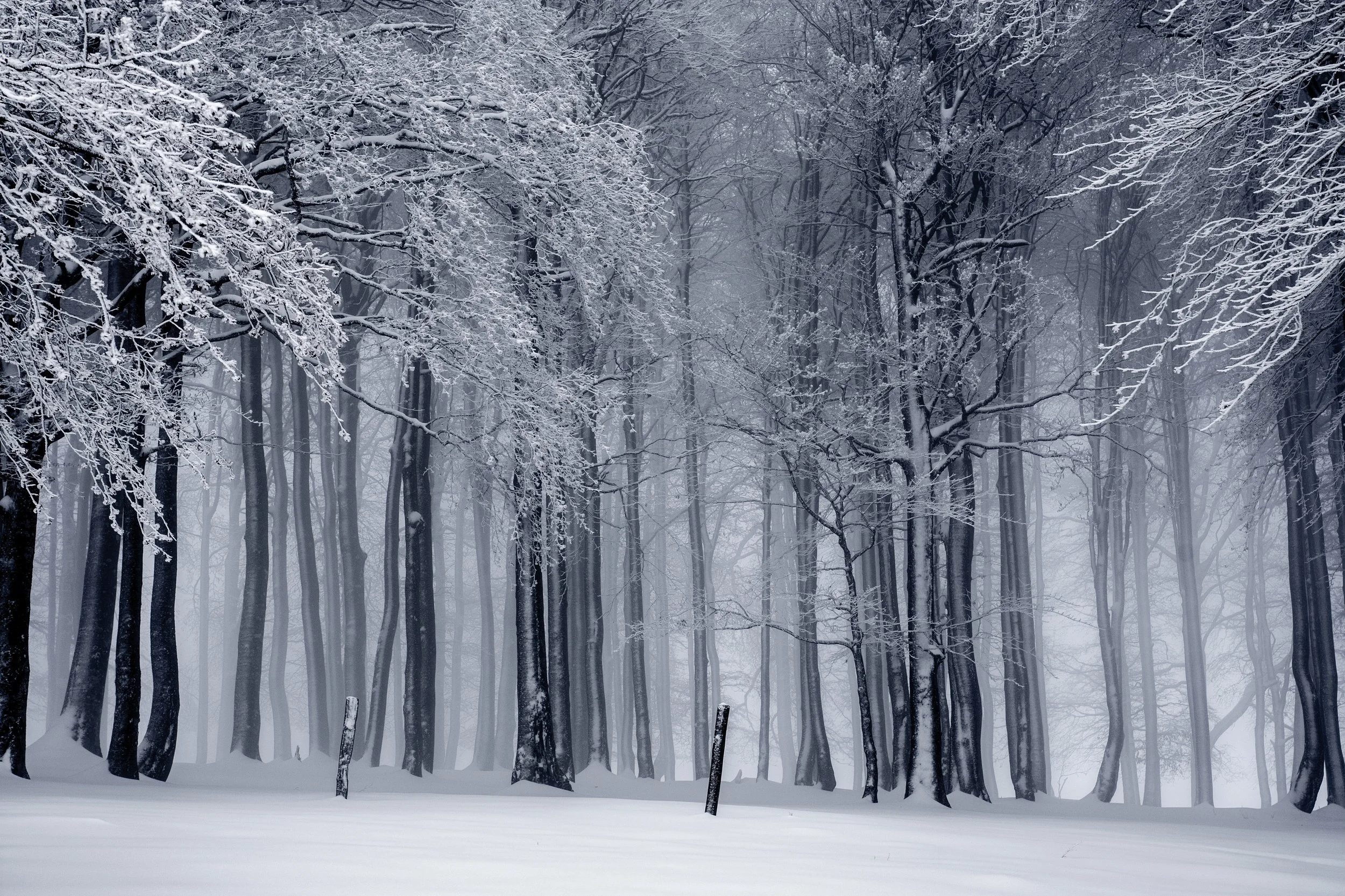 How Did Warmboard Perform During the Polar Vortex?
