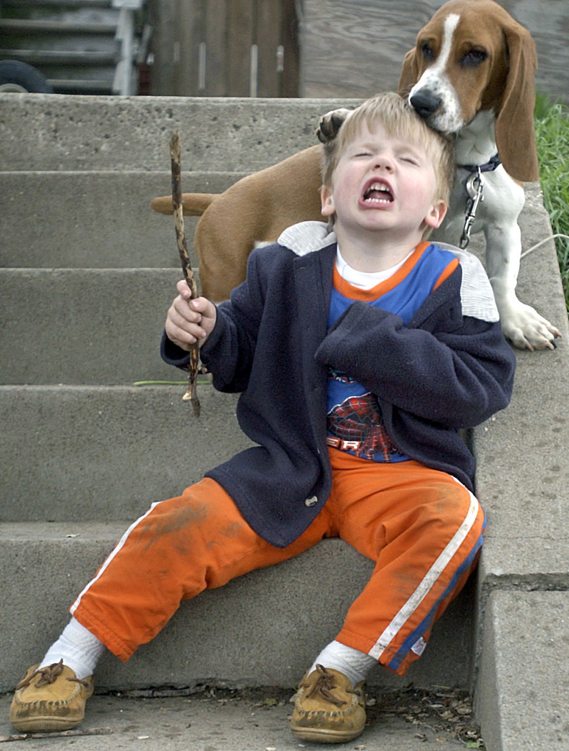 kids and dogs rh.jpg