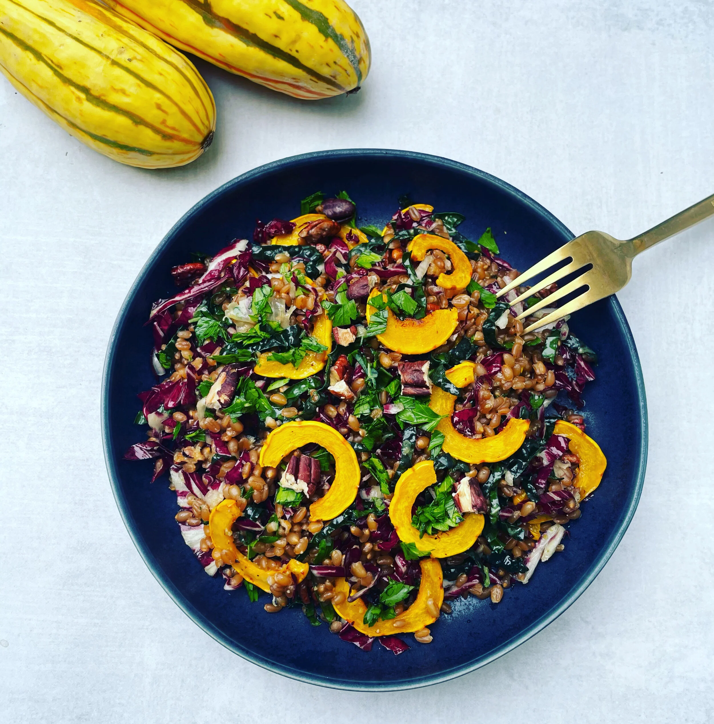 Winter wheat berry salad with squash slices and fresh parsley