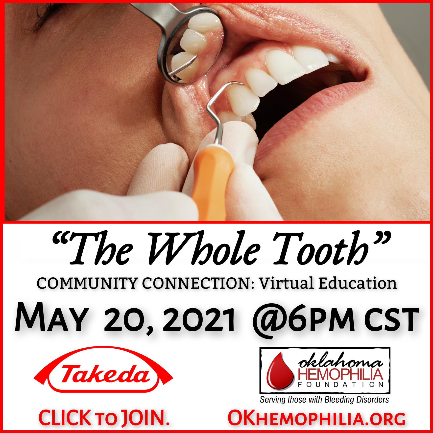 Community Connection: Virtual Education