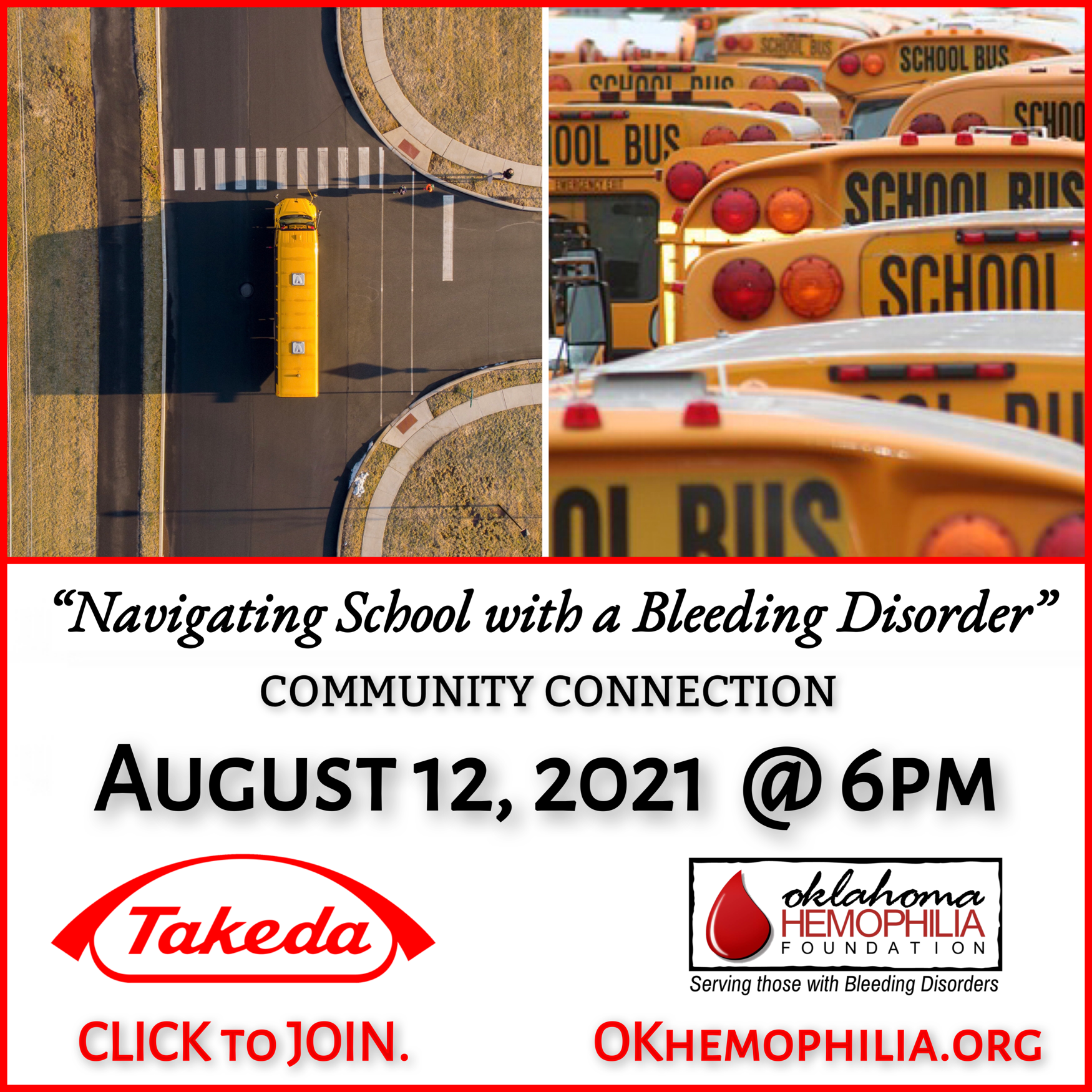 Community Connection, virtual