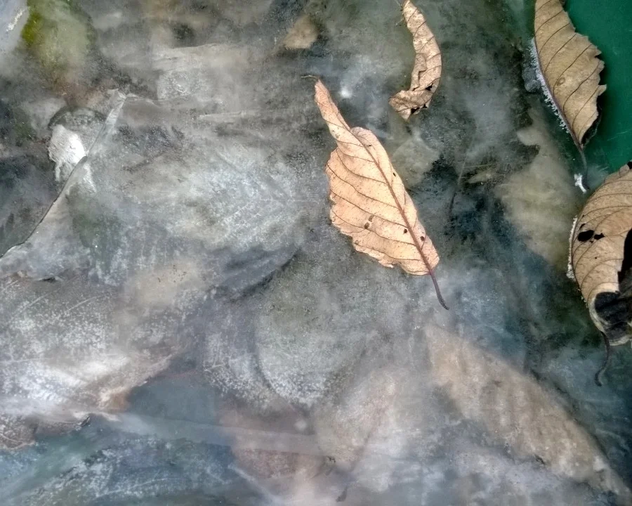 WP_20131207_002.jpg