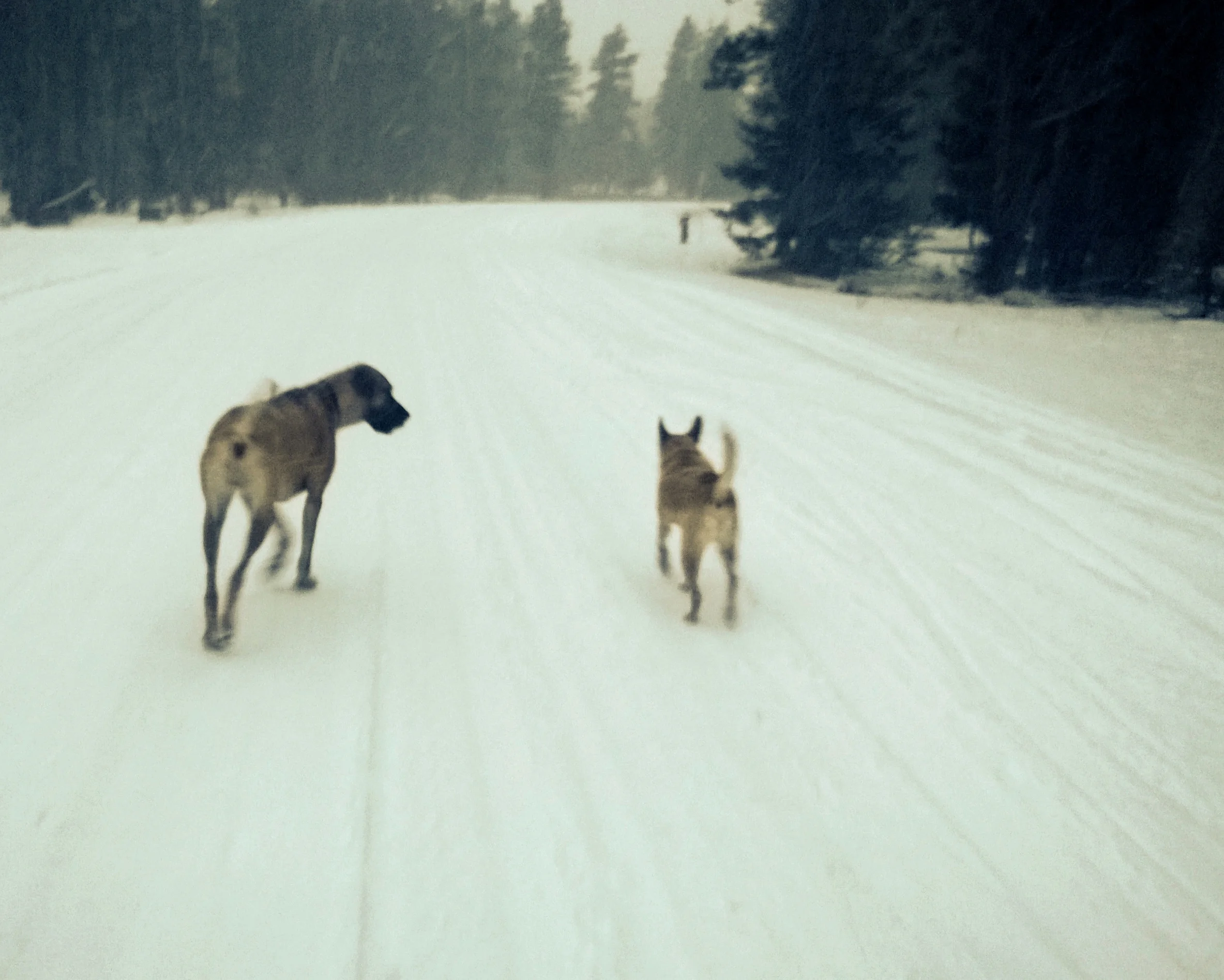 WP_20140208_00820140209083221 (2).jpg