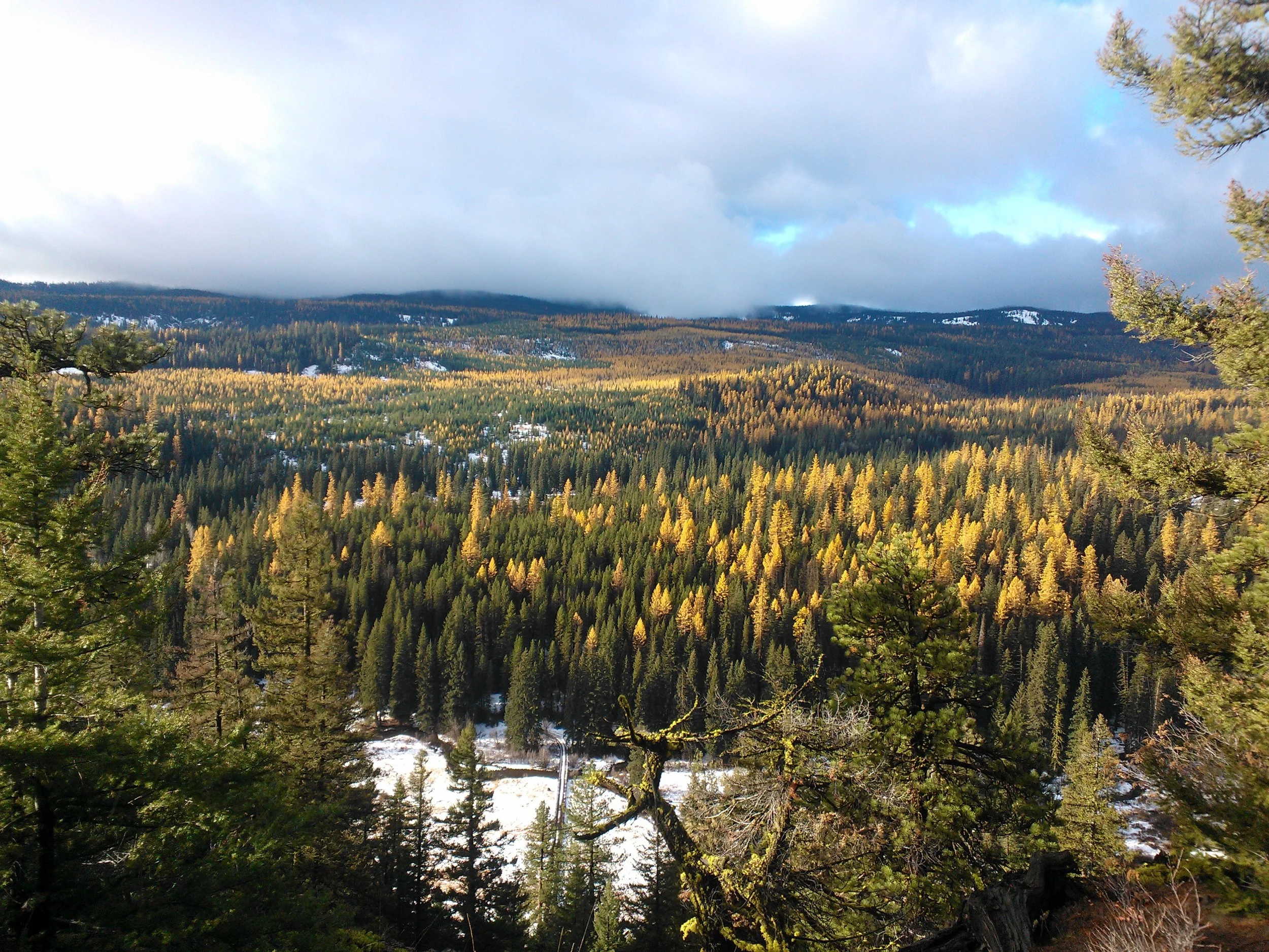 Baofeng Handheld Radios