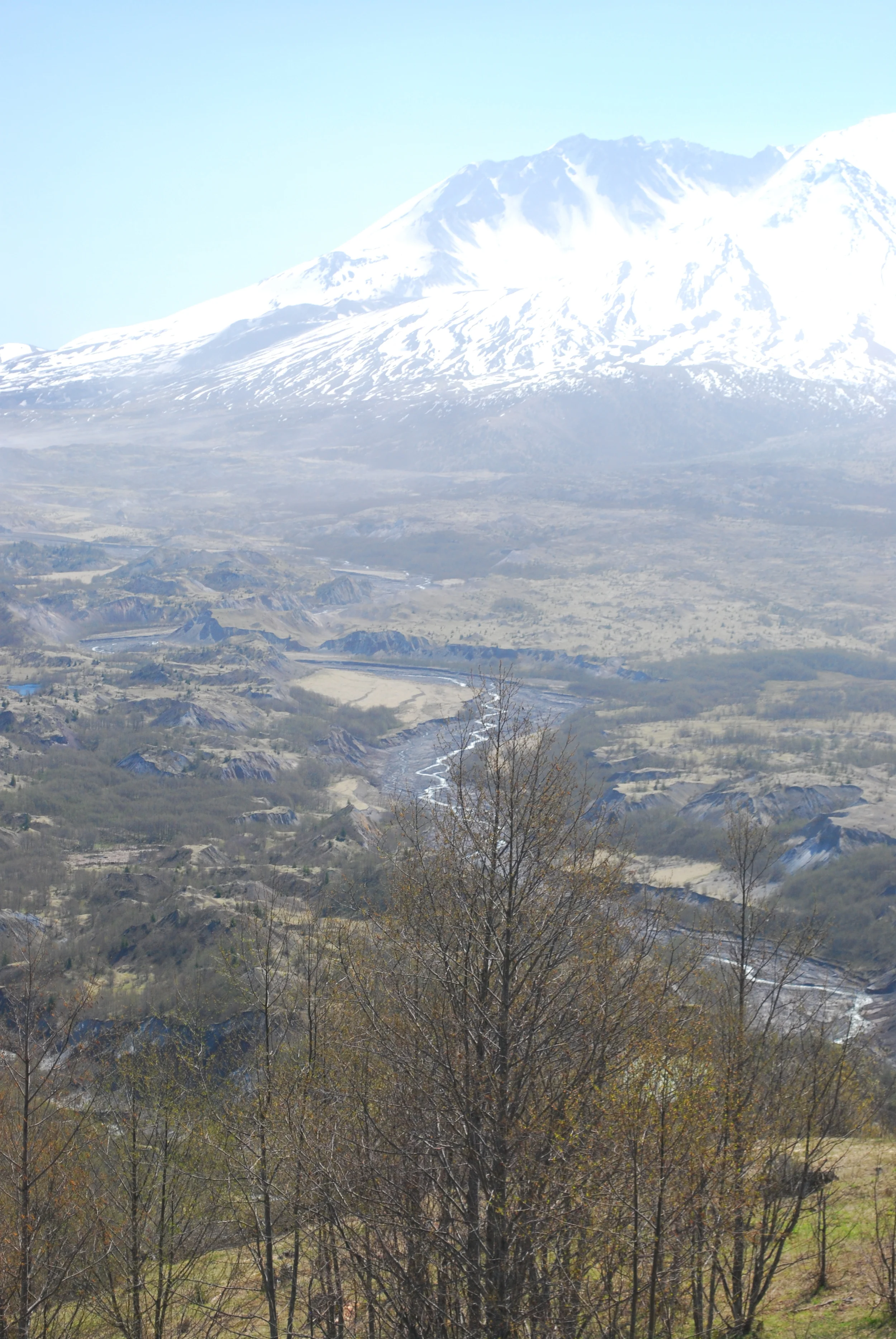 DSC_0093.JPG