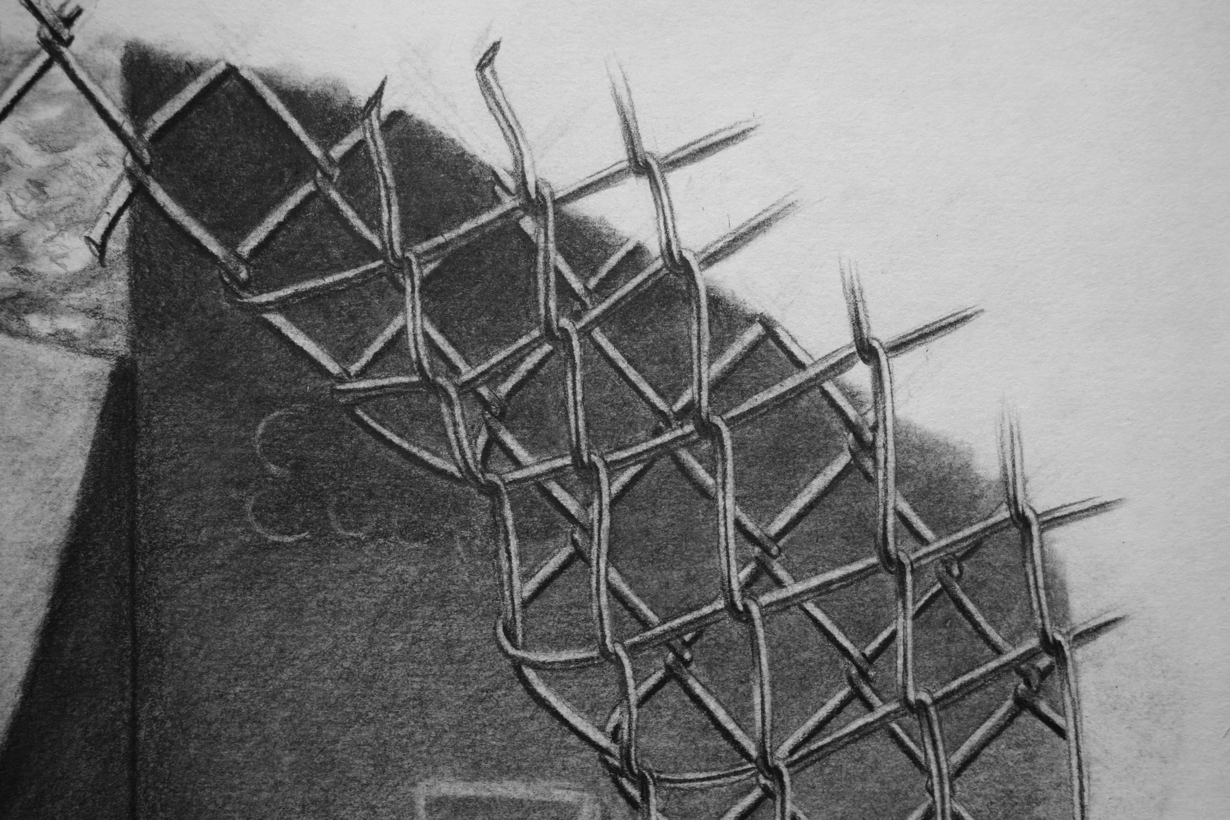 The Weekend (side fence detail).jpg