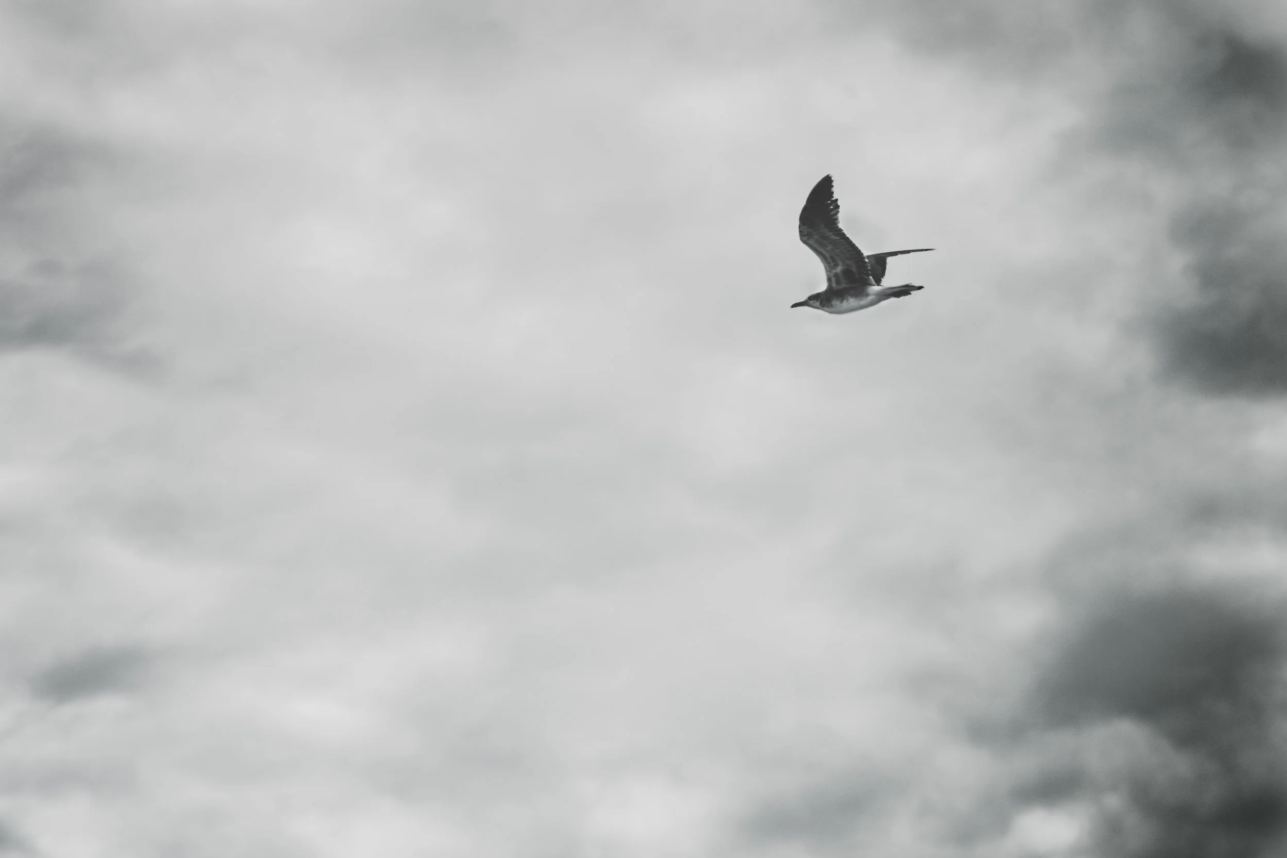 nature_0003.JPG