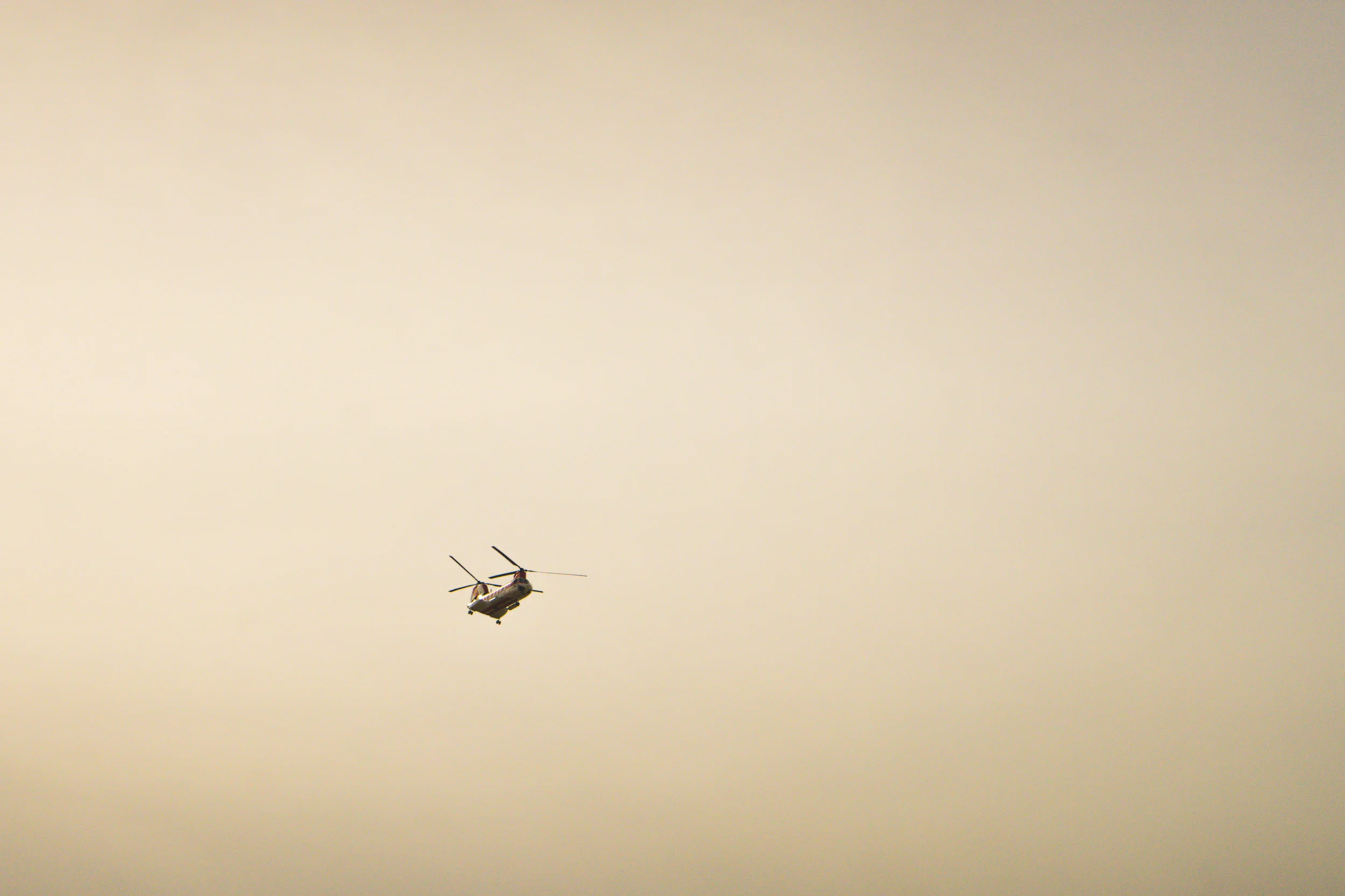 nature_0019.JPG