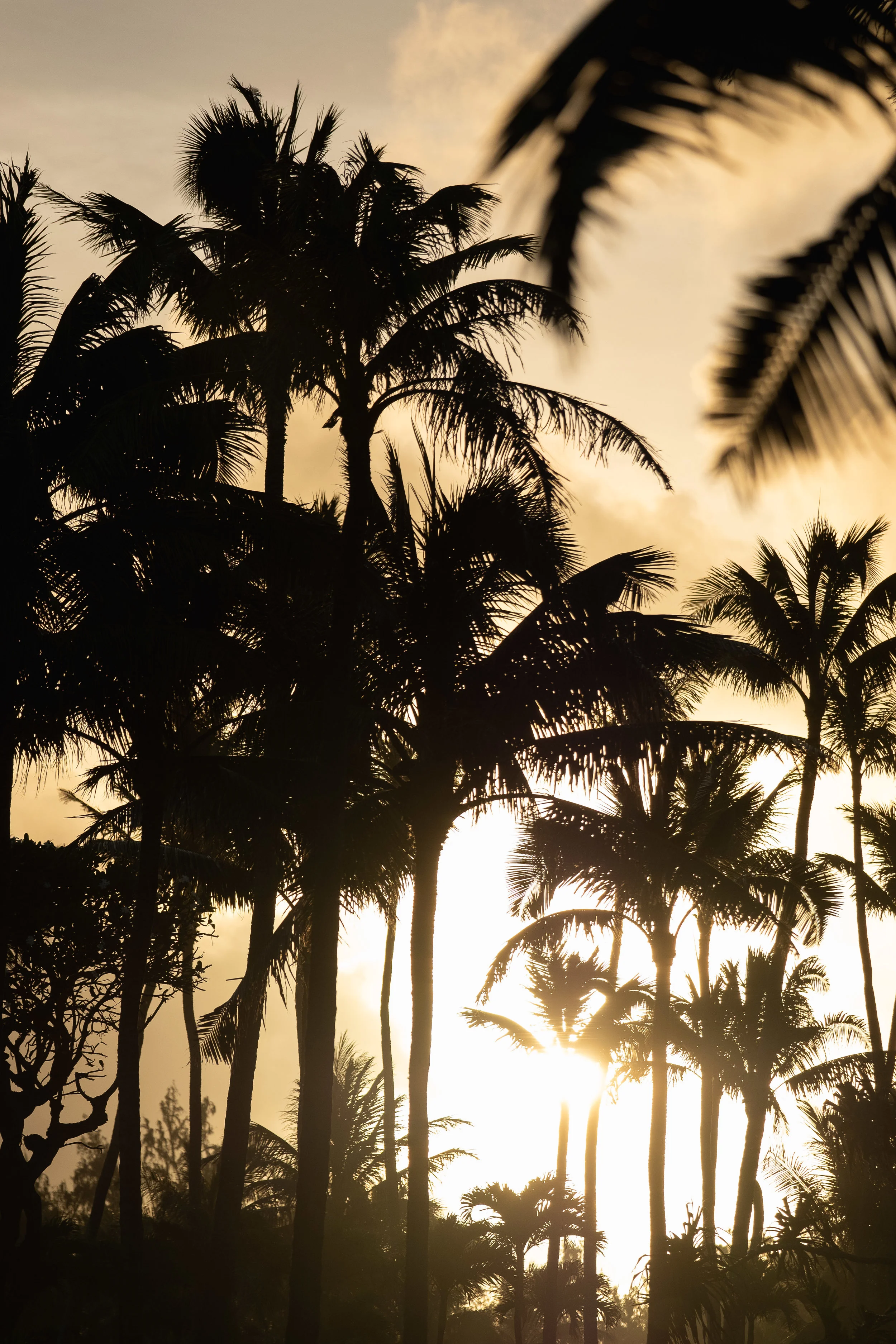 Hawaii__031.JPG
