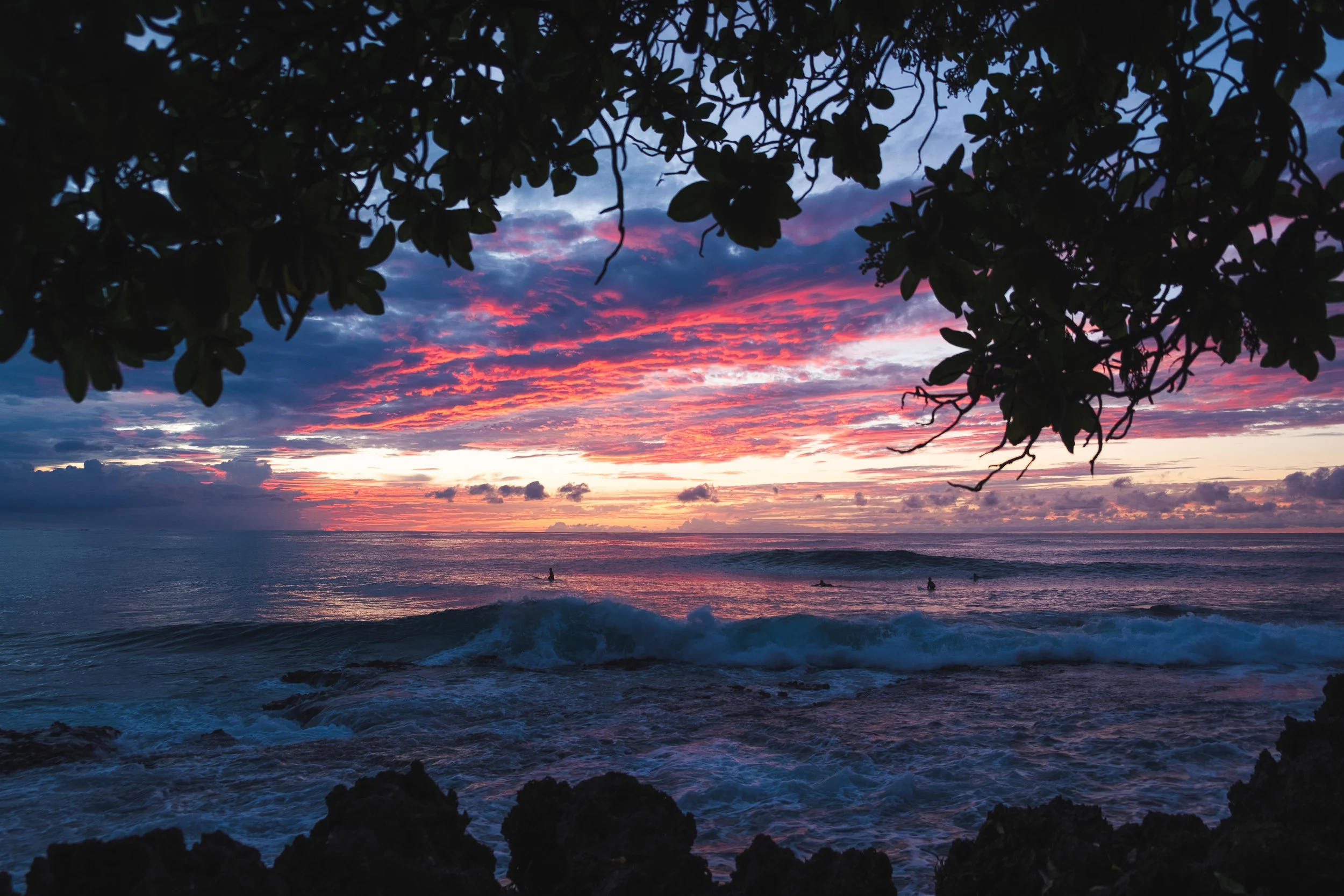 Hawaii__156.JPG