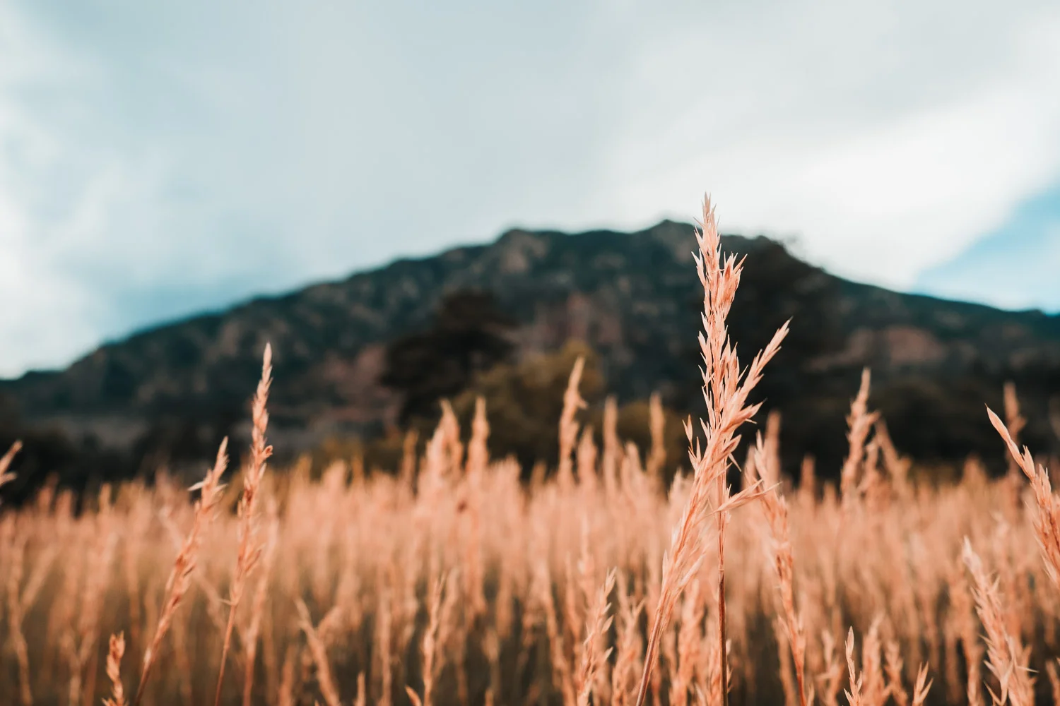 Colorado_Springs_2019 (22 of 135).jpg