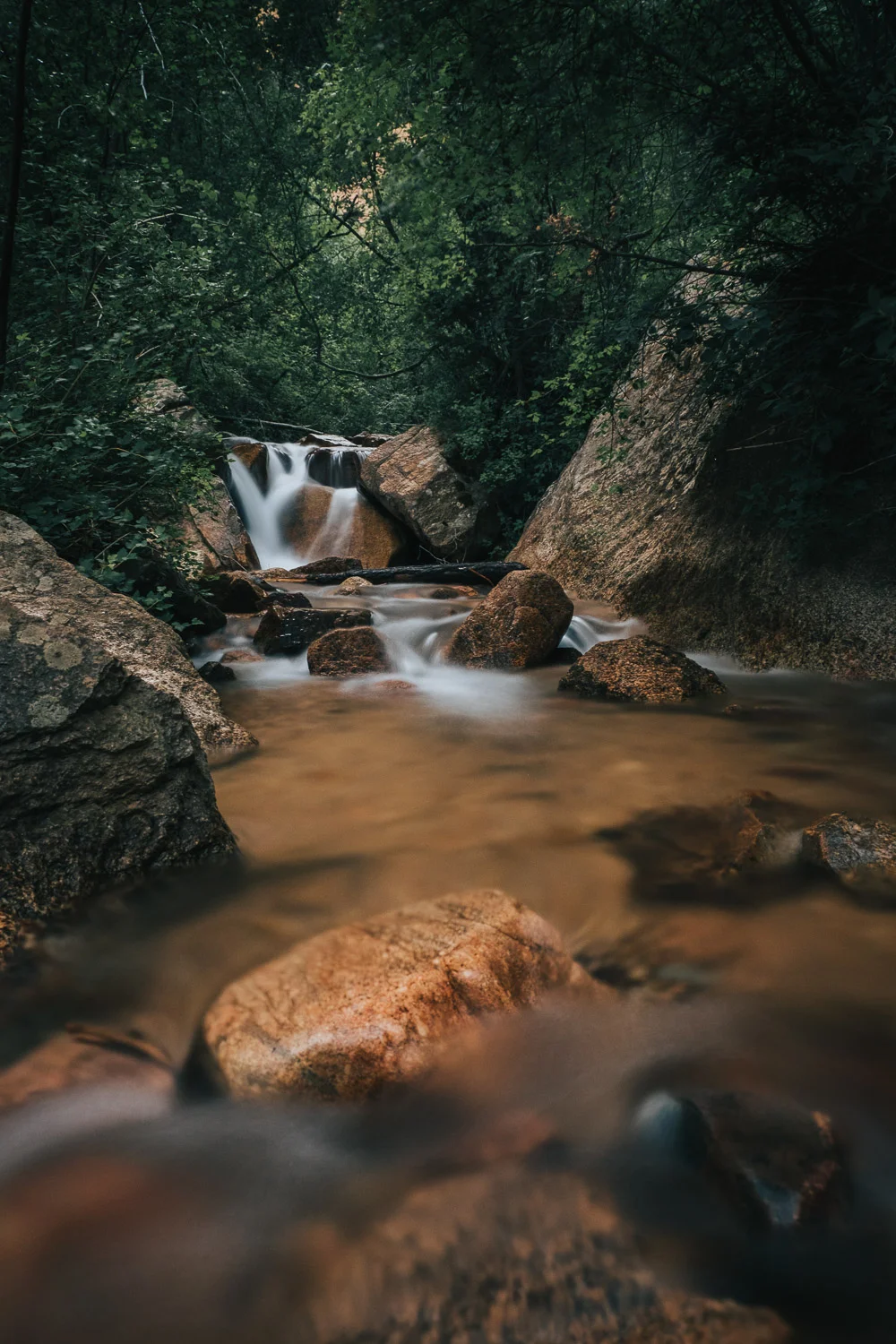 Colorado_Springs_2019 (103 of 135).jpg