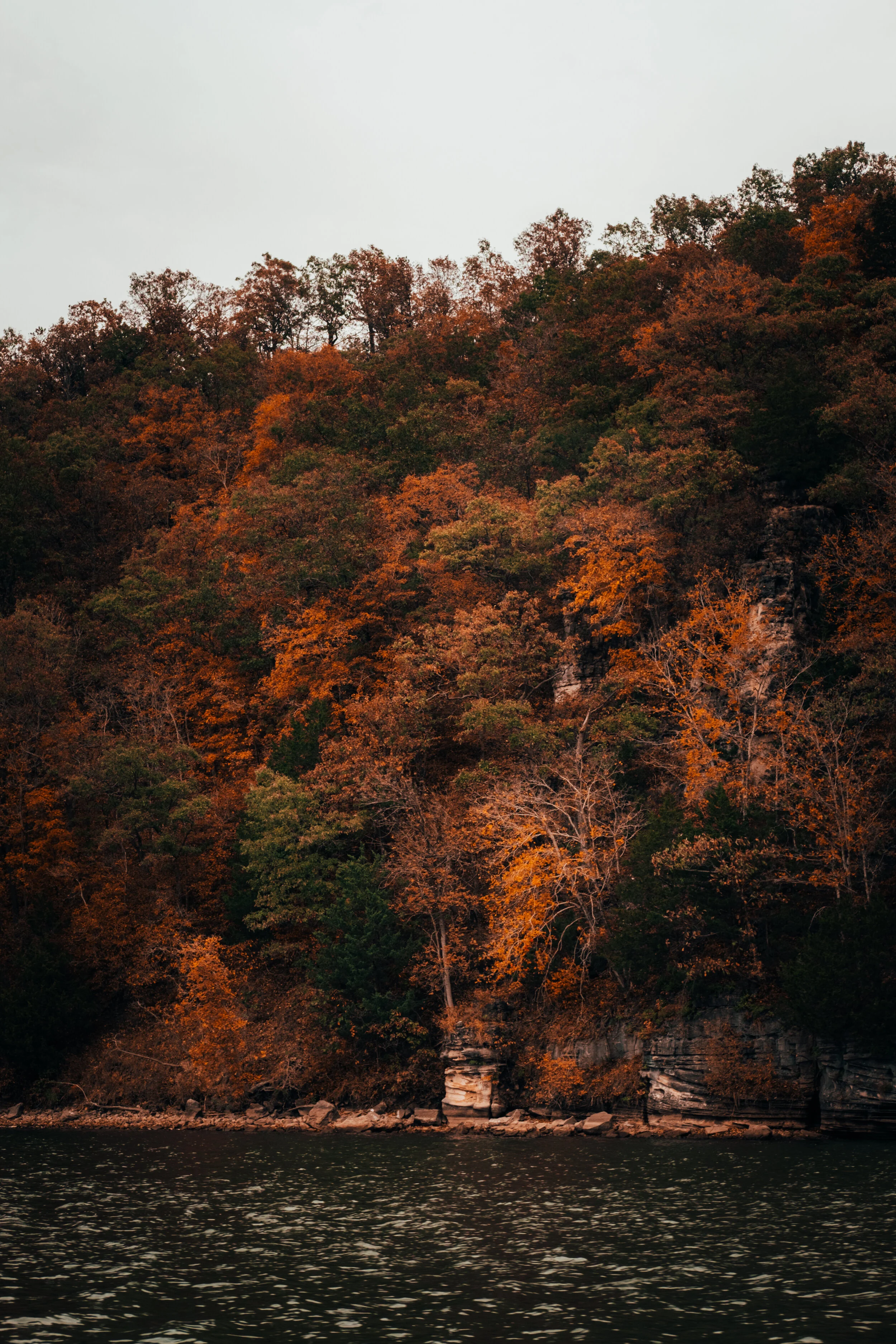 Lakehouse_2020-7.jpg
