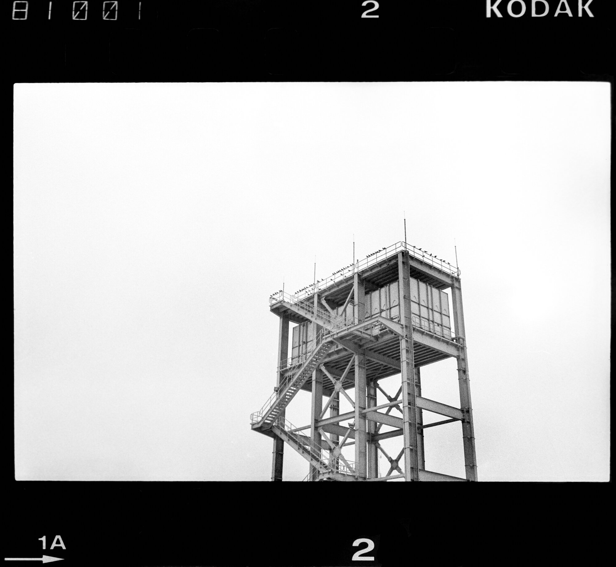 Mar-April_2018_Kodak_ISO400_B&W_002-Edit.jpg