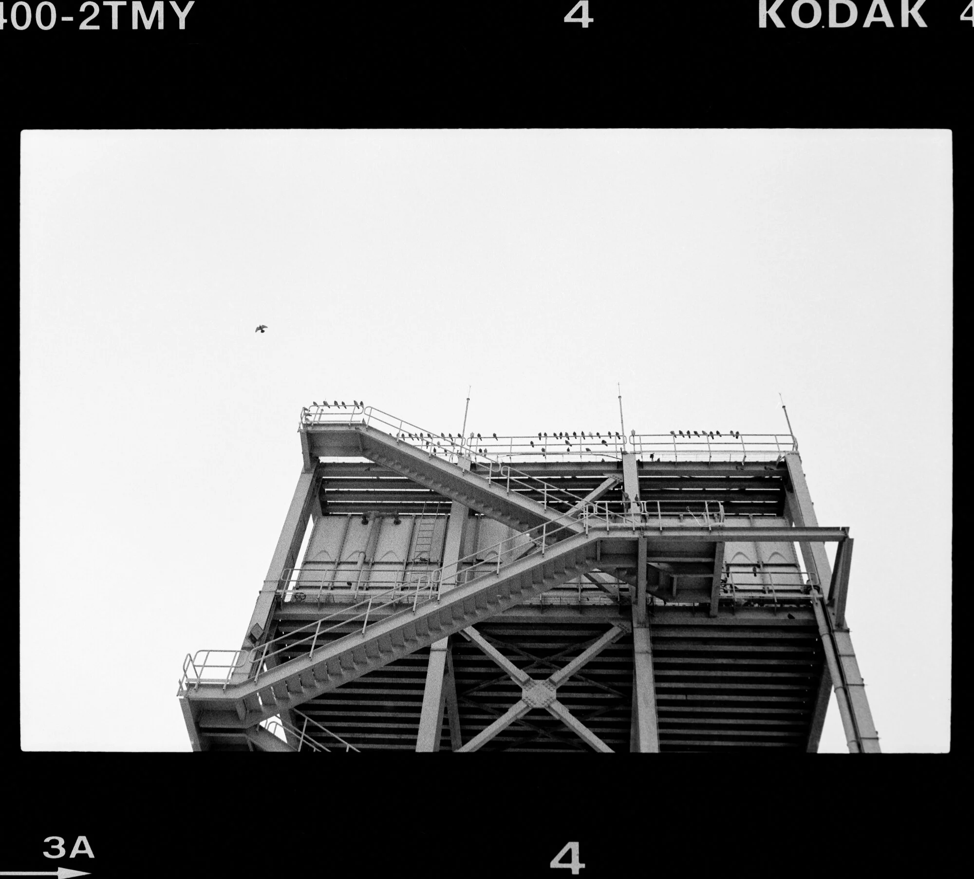 Mar-April_2018_Kodak_ISO400_B&W_004-Edit.jpg
