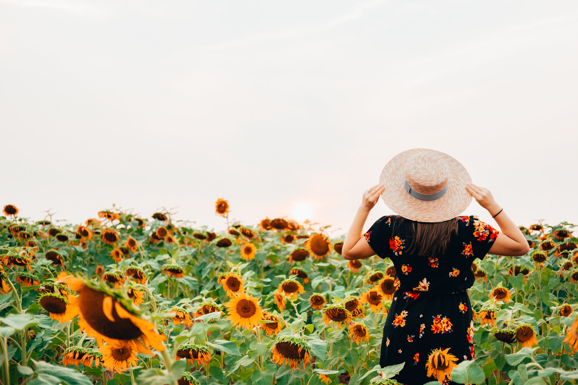 Hayle in the Fields-5.jpg