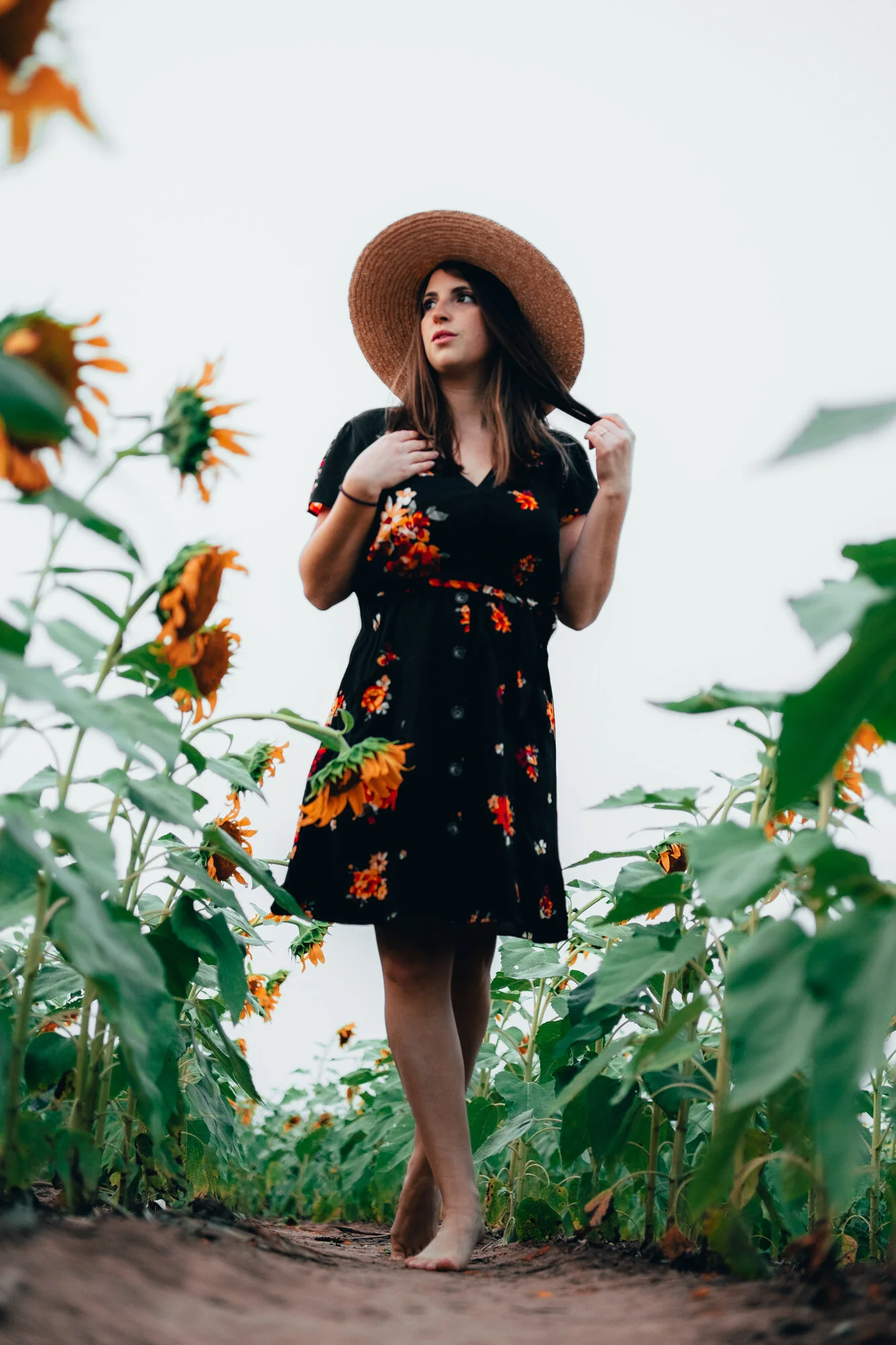 Hayle in the Fields-20.jpg