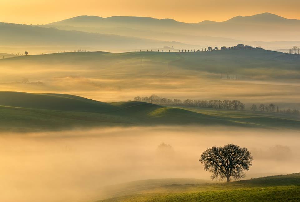 Tuscan Landscapes