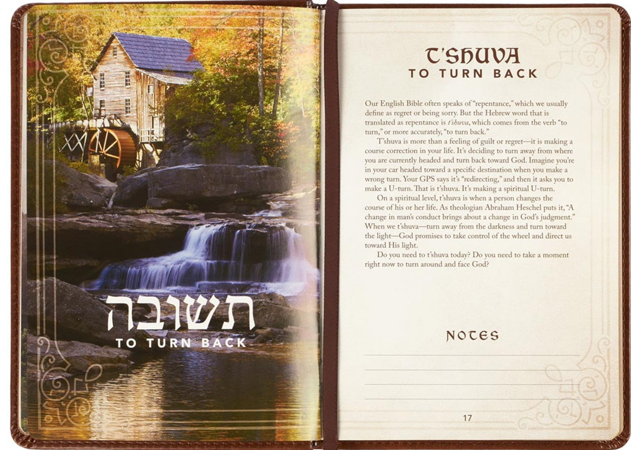 52 hebrew words by dave adamson inside.png