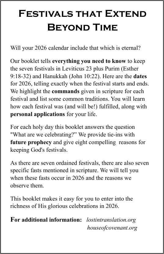 festivals booklet back 2026.png