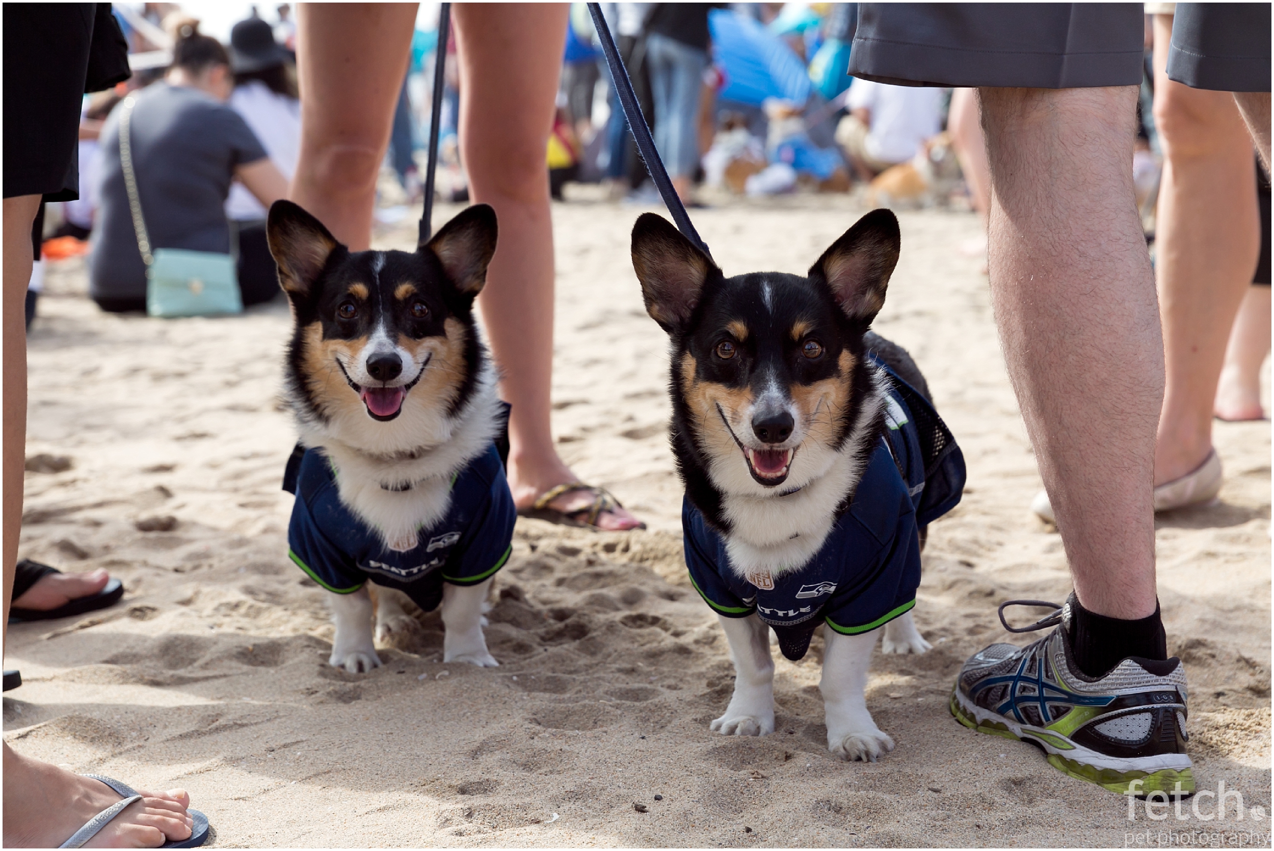 matching-corgis
