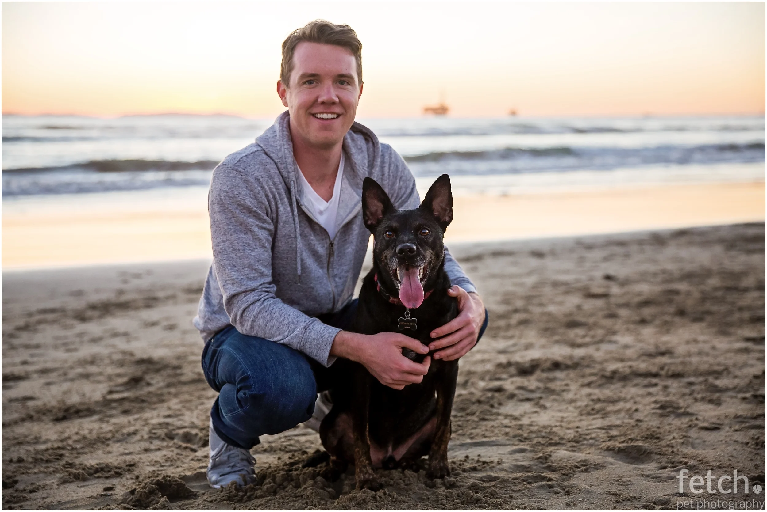 australian-kelpie-beach