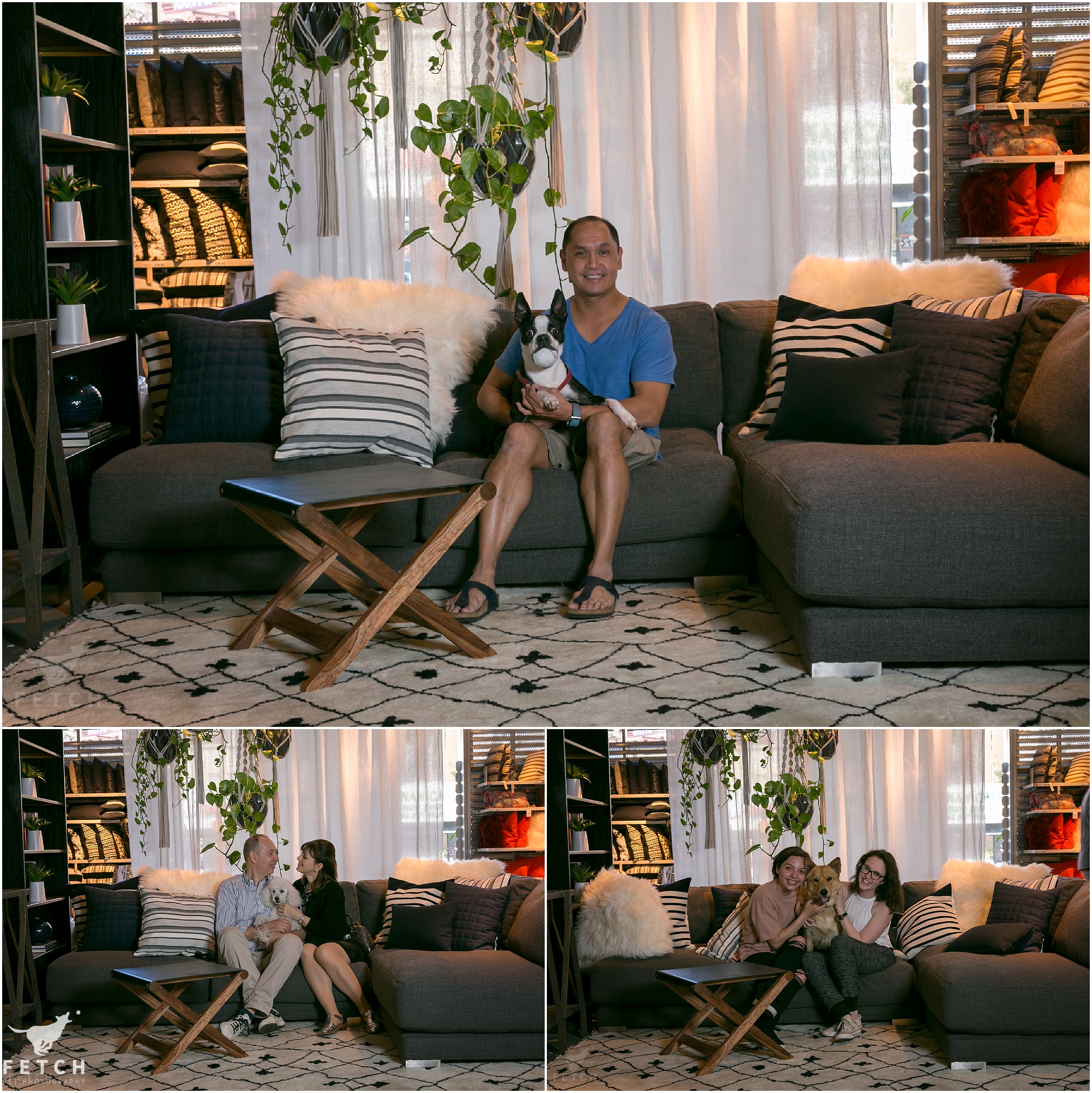 cb2-pet-photography