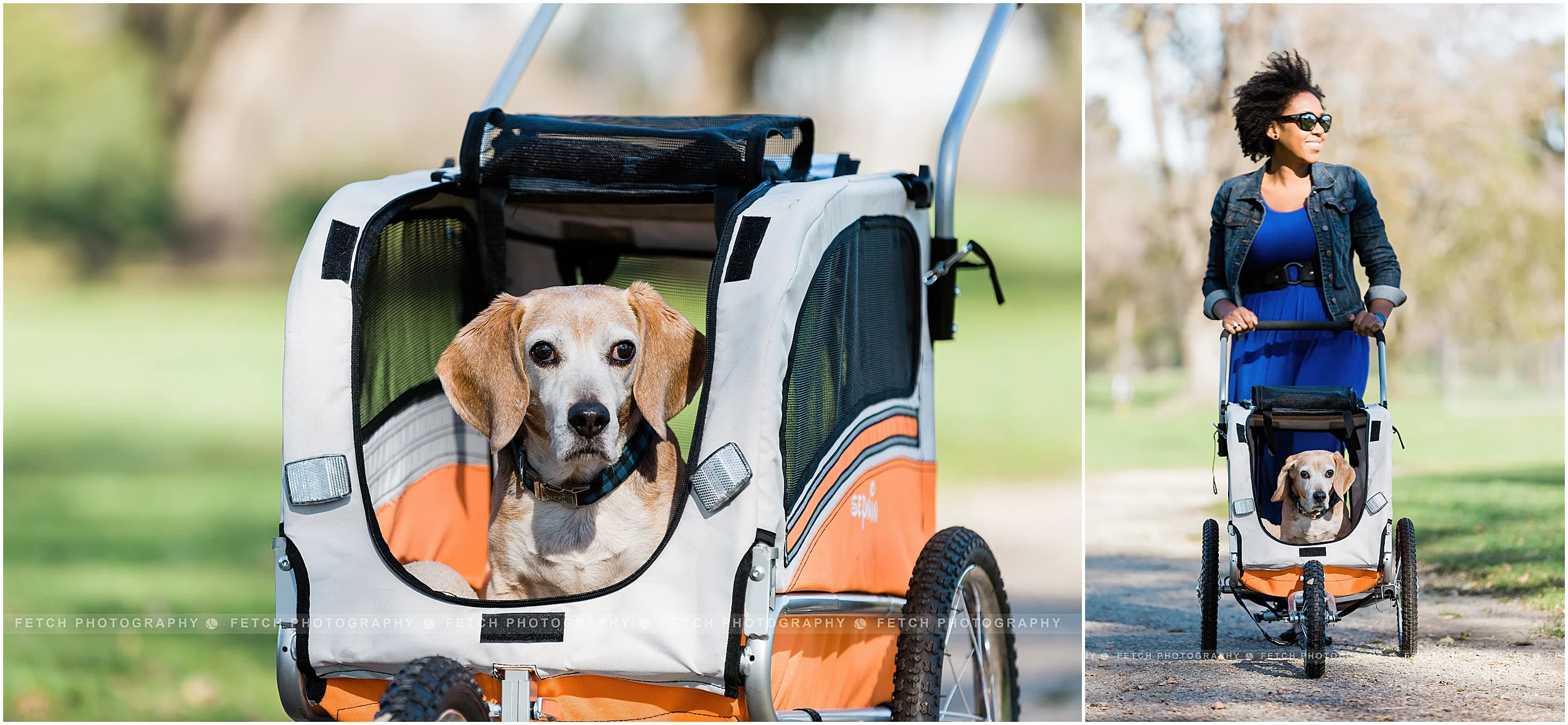pet-product-photography