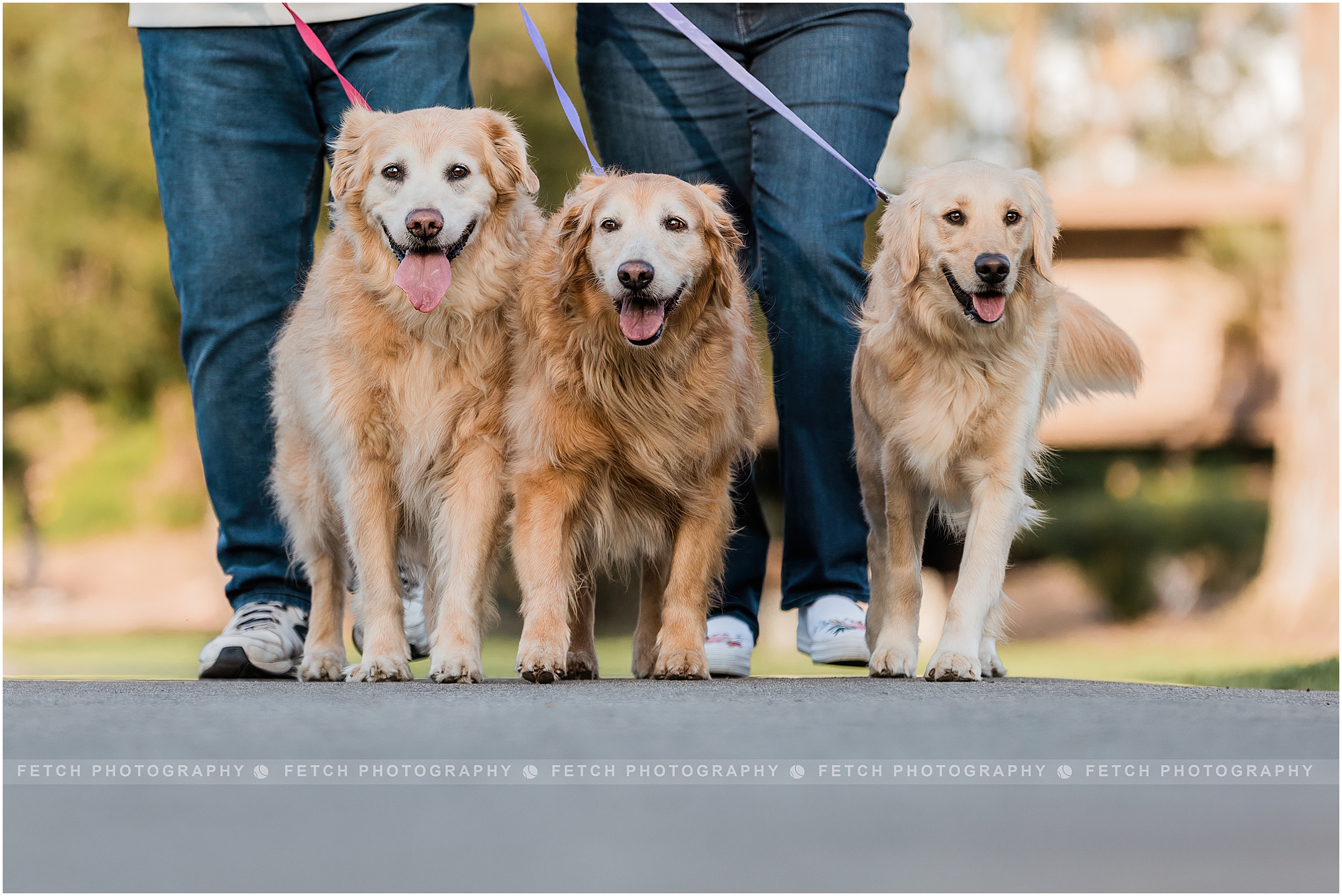 los-angeles-family-photographer
