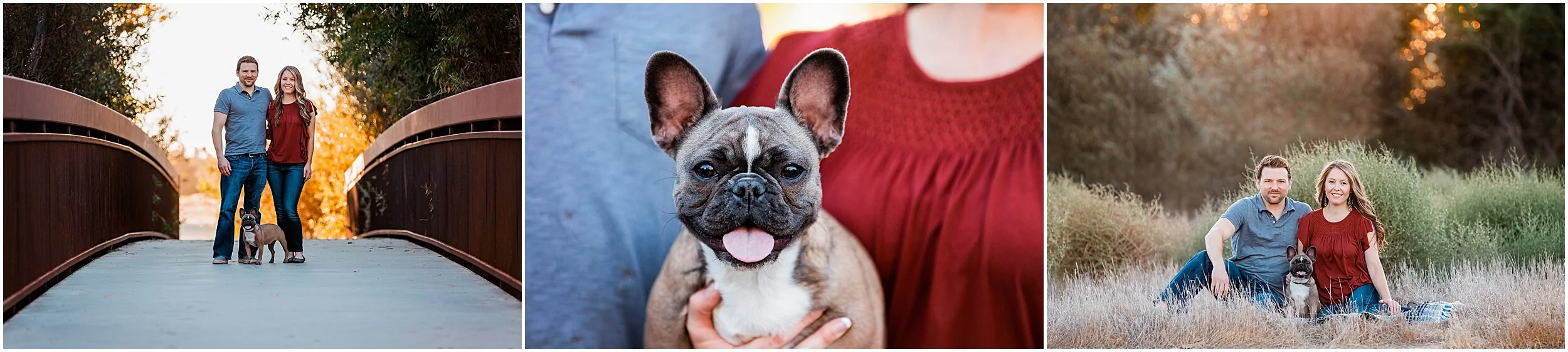 los-angeles-dog-holiday-photos.jpg