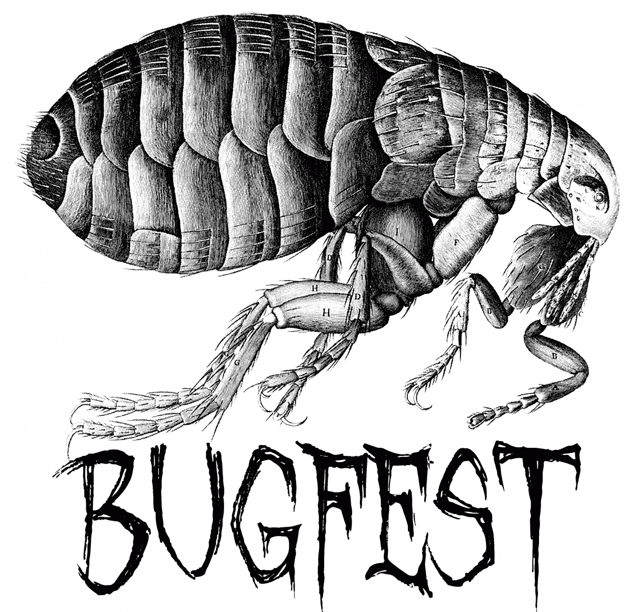 UNL Bugfest 2017.gif