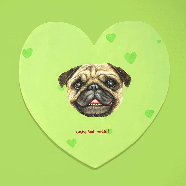 💚 💚 🐶 &bull; honestly i feel this tinder bio &bull; 🐶 💚 💚
🖤 💚 &gt;&gt; i love me a nice boy &lt;&lt; 💚 🖤
#drawing #pug #tinder #art #tinderbio #cute #ugly #niceguy #artistsoninstagram #popart #green #imprettysureimwrongandpugsarecute