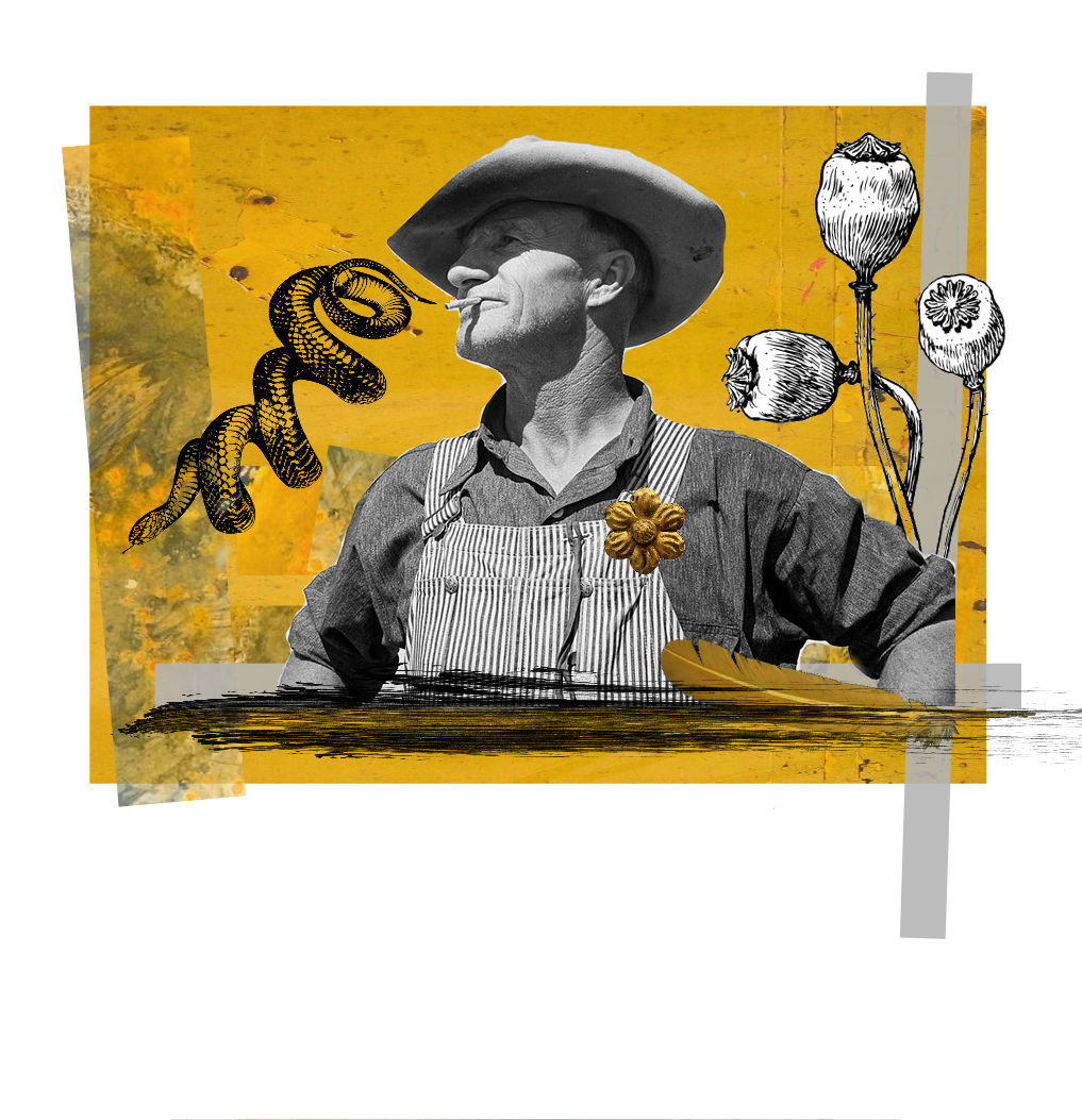 cowboy.png