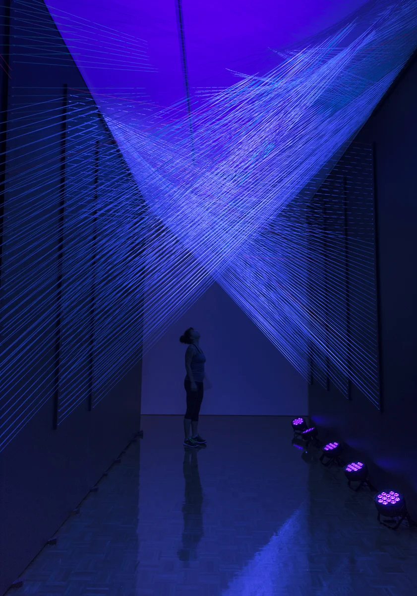 Dear Floromancy Readers [megan mosholder]