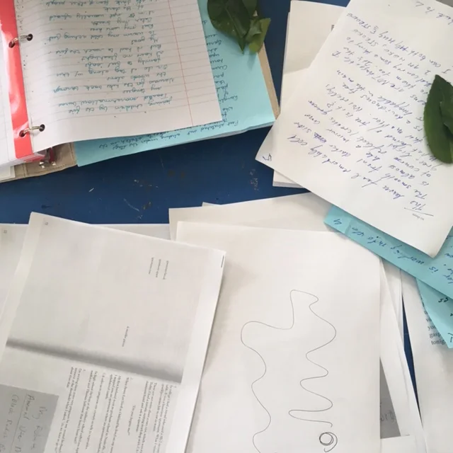 SOME NOTES ON SOMATIC WRITING [lara mimosa montes]