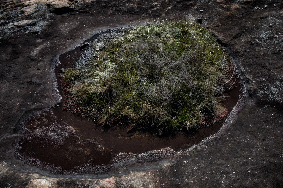 Astological Goop 36x48 archival digital print.jpg