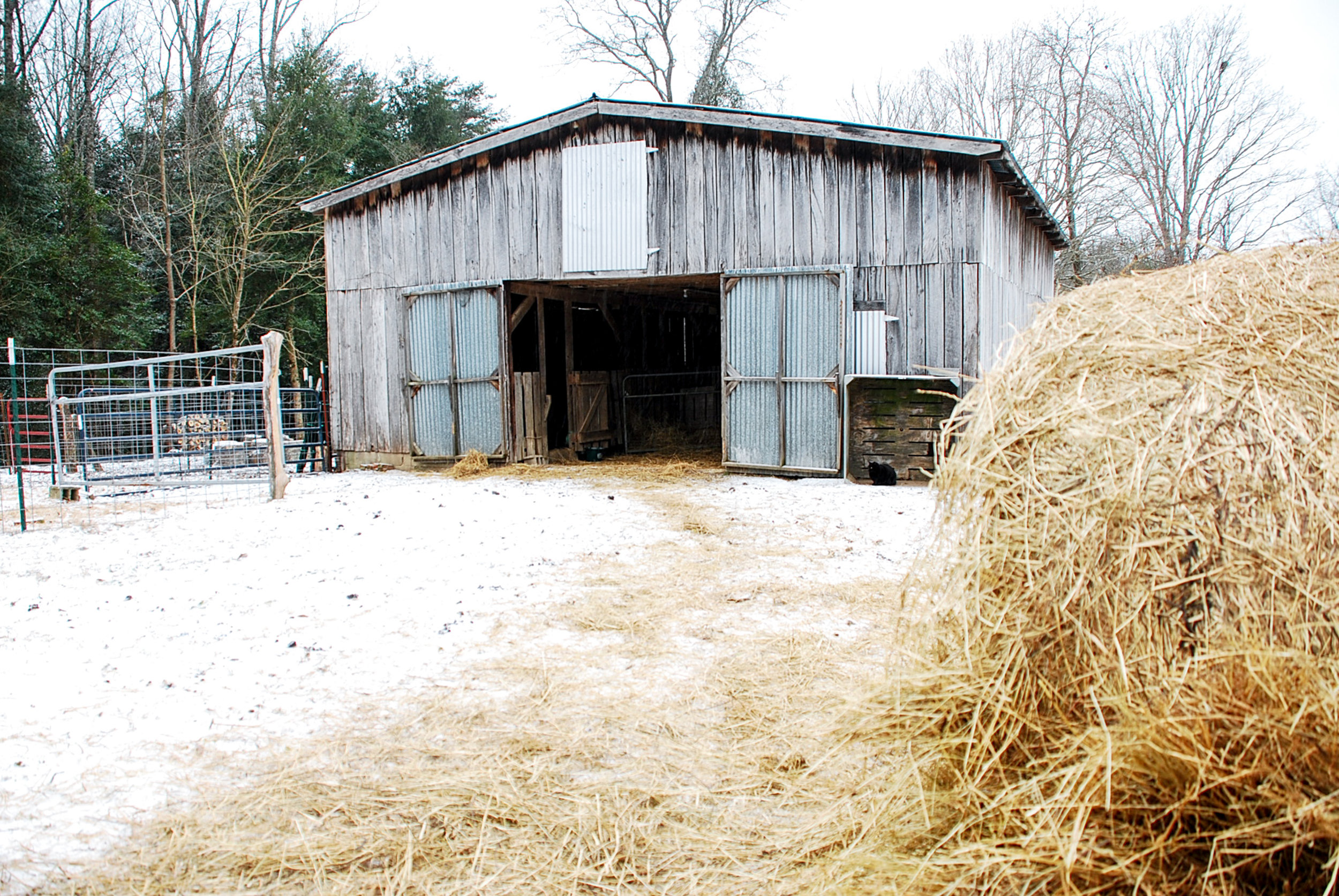 1 barn - hay.jpg