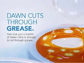 some findings on dawn [jon waters]