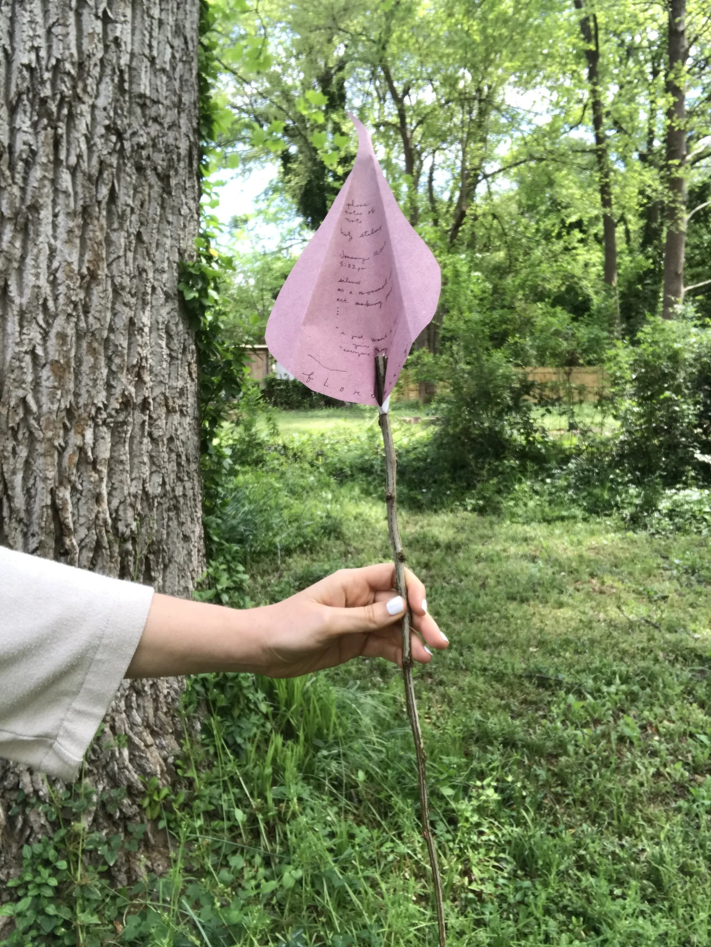 floromancy as divination by flowers