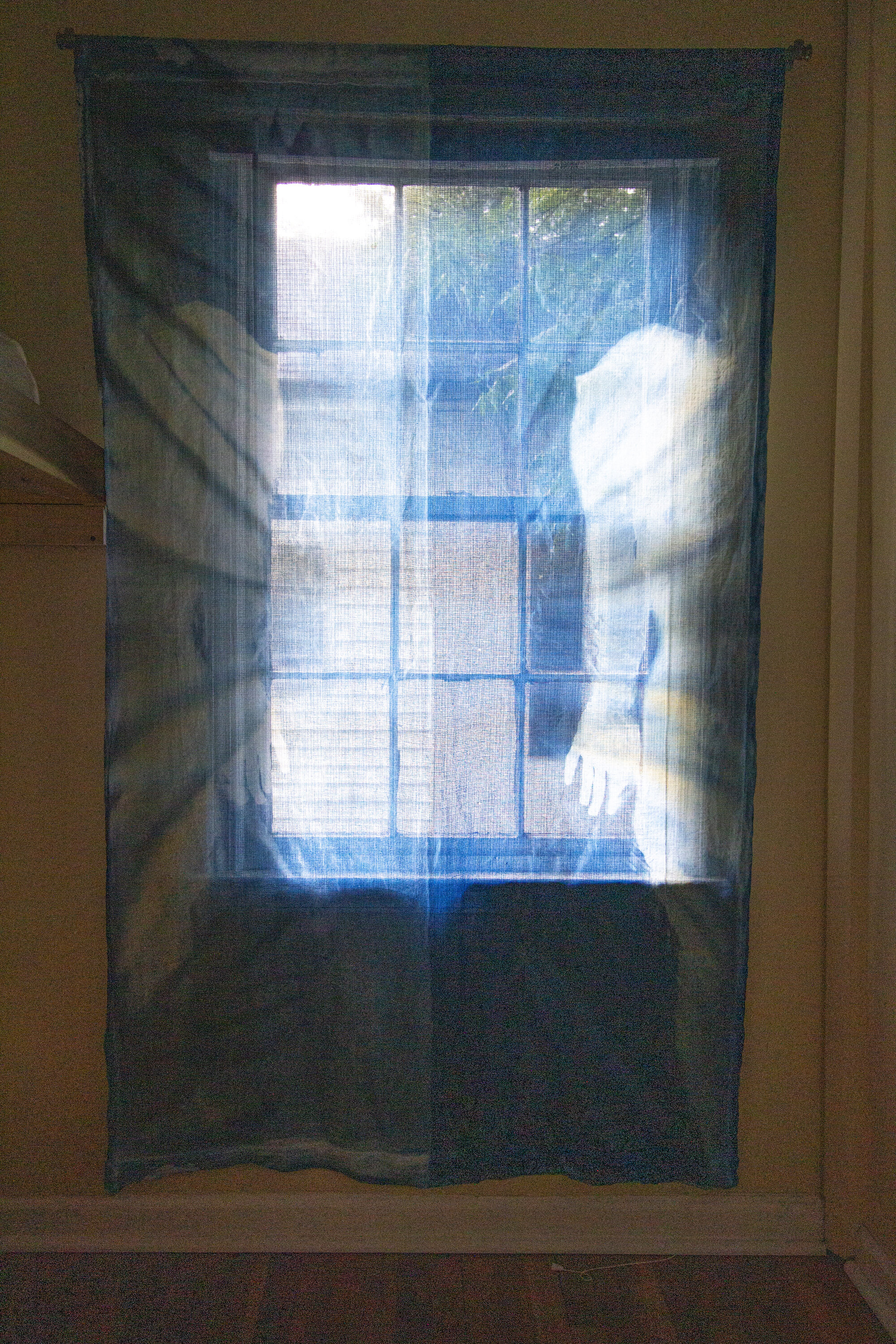 Mirror Image [late afternoon], 2020, cotton curtain, cyanotype solution, curtain rod, and hardware, 55 x 84 inches