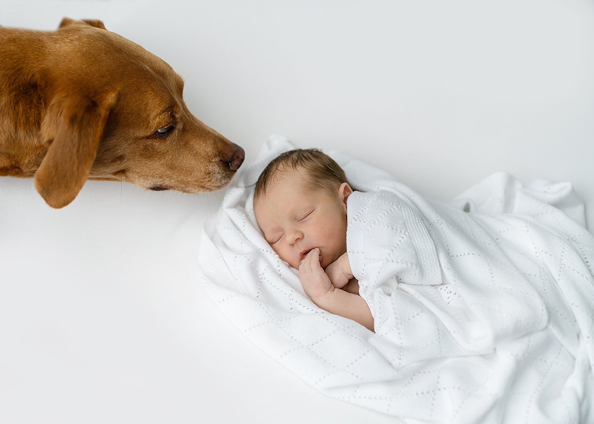 st simons island newborn photographer - newborn baby boy girl with her big sister dog