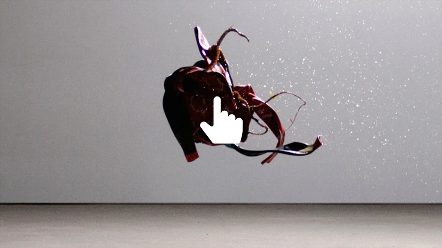 WETSUIT + OCTOPUS INTERACTIVE