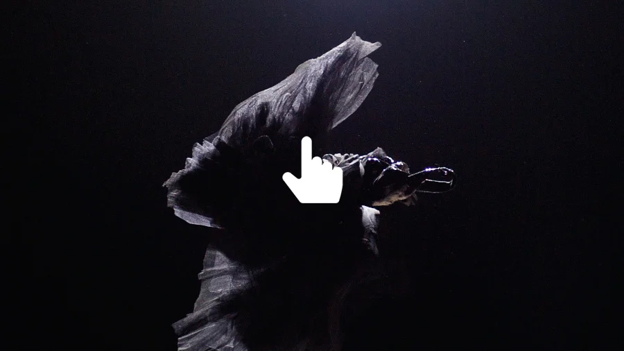 ALEXANDER MCQUEEN INTERACTIVE TEST.